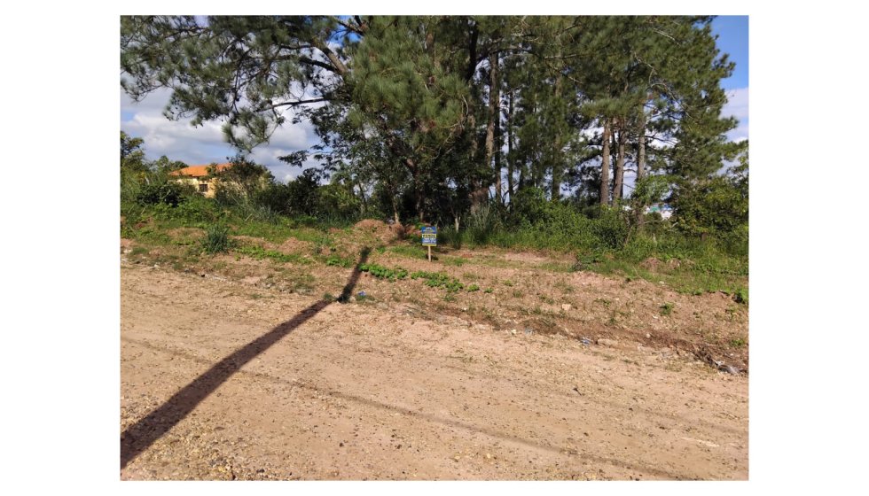Terreno em São Pedro